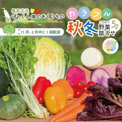ふるさと納税 四万十市 ぱっくん畑の秋・冬野菜セット約5種類[2026年11月〜2027年2月の間に1回配送]