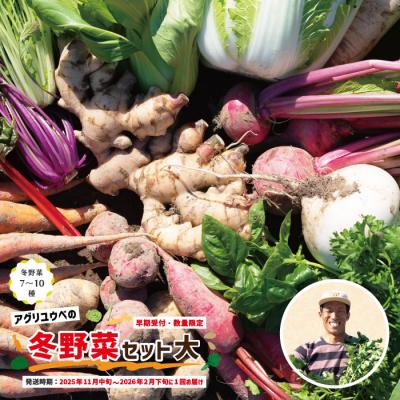 ふるさと納税 四万十市 [早期受付]アグリユウベの冬野菜セット(大) R7年11月中旬〜R8年2月下旬に1回発送