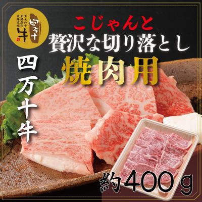 ふるさと納税 四万十市 四万十牛こじゃんと贅沢な切り落とし(焼肉用400g) 26-530