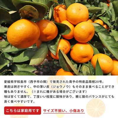 ふるさと納税 西予市 愛媛県西予市産　温州みかん (南柑20号)　家庭用5kg |  | 01