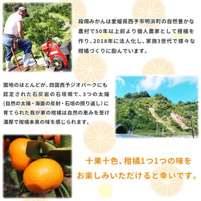 ふるさと納税 西予市 愛媛県西予市産　温州みかん (南柑20号)　家庭用5kg |  | 02
