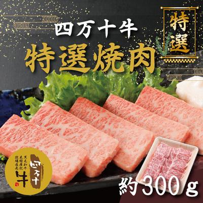 ふるさと納税 四万十市 焼肉四万十牛特選(約300g) 26-976