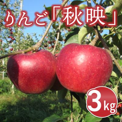 ふるさと納税 東御市 りんご「秋映」3kg 長野県オリジナル品種 |JA信州うえだ東部地区営農課 東御市産
