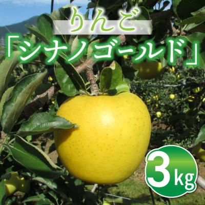 ふるさと納税 東御市 りんご「シナノゴールド」3kg 長野県オリジナル品種|JA信州うえだ東部地区営農課 東御市産