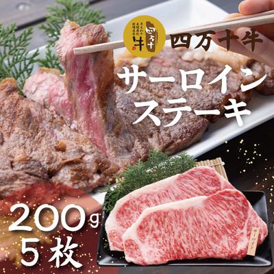 ふるさと納税 四万十市 四万十牛サーロインステーキ1kg(200g×5枚) 26-022