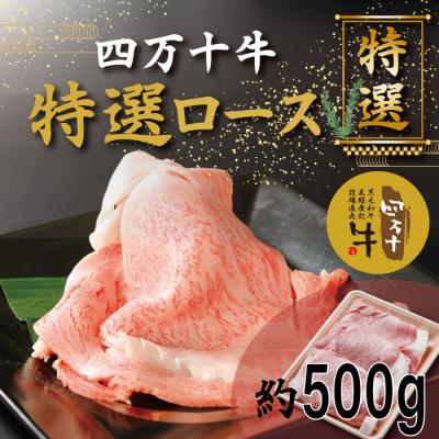 ふるさと納税 四万十市 四万十牛特選ローススライス(すき焼き・しゃぶしゃぶ用)約500g 26-974