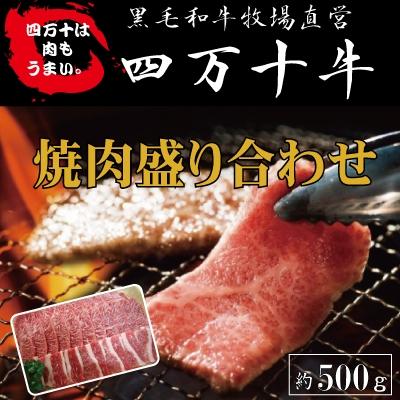 ふるさと納税 四万十市 四万十牛 焼肉盛り合わせ(黒毛和牛)約500g 26-978