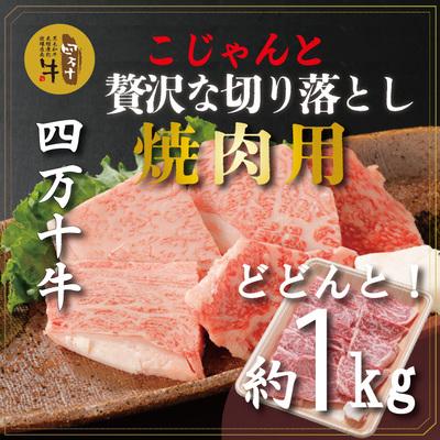ふるさと納税 四万十市 四万十牛 こじゃんと贅沢な切り落とし 焼肉用(黒毛和牛)約1kg 26-979