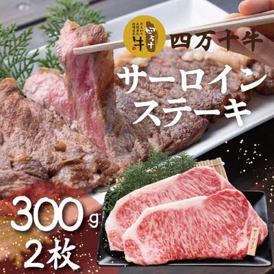 ふるさと納税 四万十市 四万十牛 四万十産黒毛和牛特選厚切りサーロインステーキ(300g×2枚)26-981