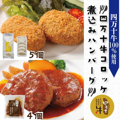 ふるさと納税 四万十市 四万十牛煮込みハンバーグ・四万十牛コロッケセット (ハンバーグ4個・コロッケ5個 ) 26-017