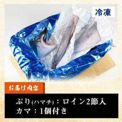 ふるさと納税 いちき串木野市 【先行予約】鹿児島県産養殖ぶり(ハマチ)の切り身「ロイン2節・カマ1個付」合計約1kg! |  | 03