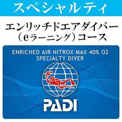 ふるさと納税 恩納村 PADIダイビング講習エンリッチコース(eラーニング)[恩納村ラグーン]