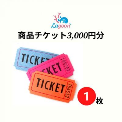 ふるさと納税 恩納村 沖縄ダイビングサービスLagoon商品券(3,000円分)[恩納村ラグーン]