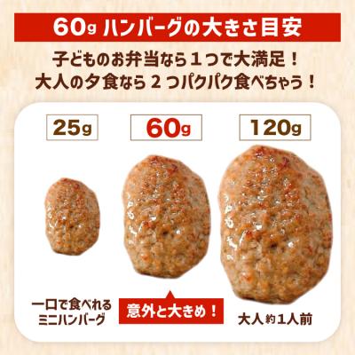 ふるさと納税 気仙沼市 レンジで簡単 ハンバーグ 50個 3kg [20563951] 惣菜 弁当 |  | 03