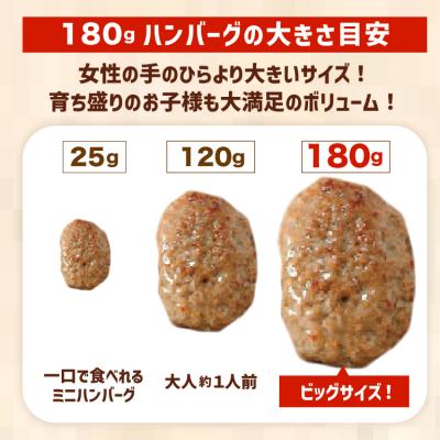 ふるさと納税 気仙沼市 レンジで簡単 どでかい ハンバーグ 180g×20個 [オサベフーズ 20563345] 弁当 惣菜 |  | 02