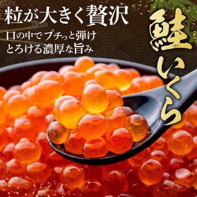 ふるさと納税 気仙沼市 鮭 いくら 醤油漬け 200g×2p [20563341] さけ 小分け 味付いくら |  | 01