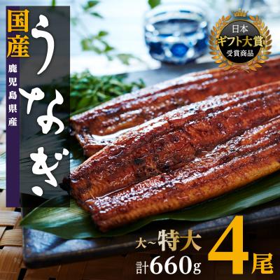 ふるさと納税 大崎町 鹿児島県産うなぎ長蒲焼4尾 | 