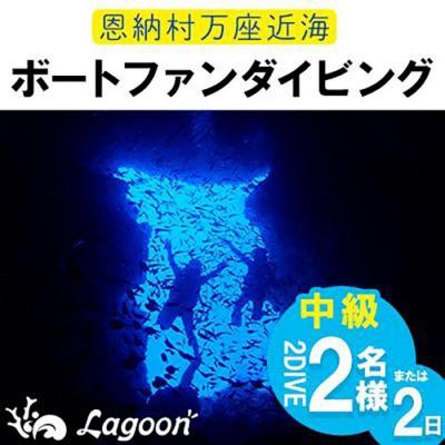 ふるさと納税 恩納村 万座近海ファンダイビング中級2DIVE(2名or2日)[恩納村ラグーン]