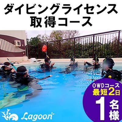 ふるさと納税 恩納村 ダイビングライセンス取得入門コース(OWDコース2日間)[恩納村ラグーン]