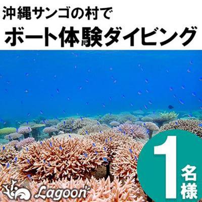 ふるさと納税 恩納村 沖縄サンゴの村でボート体験ダイビング[恩納村ラグーン]