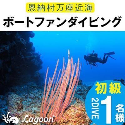 ふるさと納税 恩納村 万座近海ファンダイビング初級2DIVE[恩納村ラグーン]