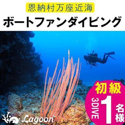 ふるさと納税 恩納村 万座近海ファンダイビング初級3DIVE[恩納村ラグーン]