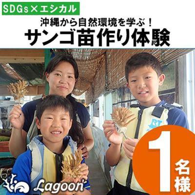 ふるさと納税 恩納村 沖縄サンゴの村でサンゴ苗作り体験[恩納村ラグーン]