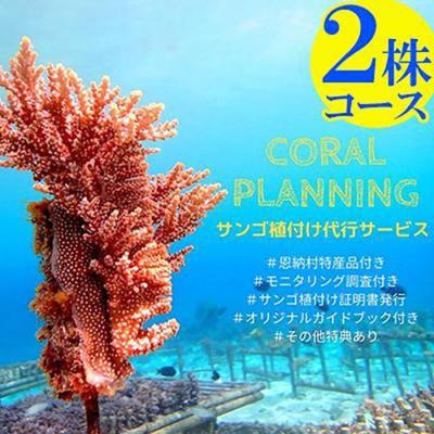ふるさと納税 恩納村 サンゴ植付け代行サービス2株[恩納村ラグーン]