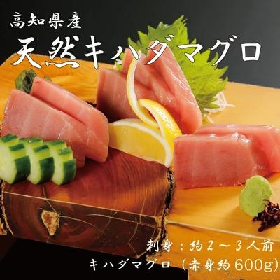 ふるさと納税 四万十市 お刺身や漬け丼に!　天然まぐろ　キハダマグロ(赤身)約600g　刺身:2〜3人前 R5-999 | 