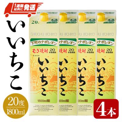 A490 いいちこ 麦焼酎 25度　1800ml パック ６本 いいちこ 【送料無料！】 麦焼酎 25度 1800ml瓶(1ケース/6本入り