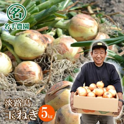 ふるさと納税 淡路市 名手農園の淡路島特産玉ねぎ 5kg