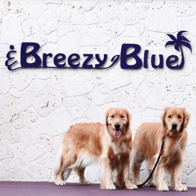 ふるさと納税 淡路市 貸別荘BreezyBlue淡路島 ご利用券【10月〜3月宿泊限定】10,000円分　ab05004 | 