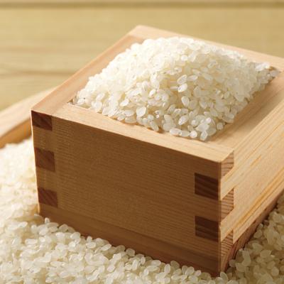 ふるさと納税 四万十市 【令和7年産・数量限定】四万十の山間地域で育てた大宮米(ヒノヒカリ)10kg 26_1