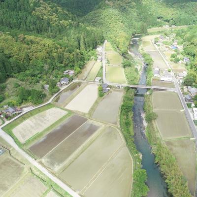 ふるさと納税 四万十市 【令和7年産・数量限定】四万十の山間地域で育てた大宮米(ヒノヒカリ)10kg 26_3