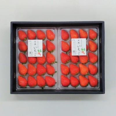 ふるさと納税 京都市 &lt;予約受付&gt;[オーガニックnico]おふくわけいちご &lt;京都洛西大原野産 有機JAS認定&gt;
