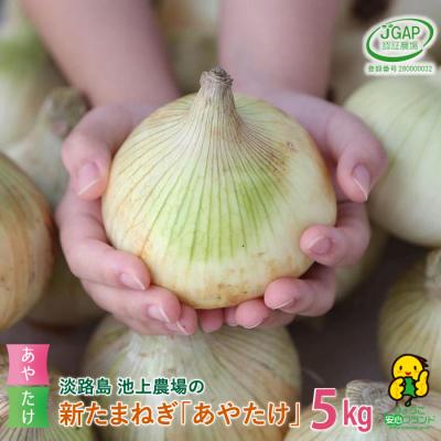 ふるさと納税 淡路市 [新たまねぎ]淡路島 池上農場の「あやたけ」5kg[発送時期3月下旬〜5月頃]