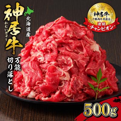 ふるさと納税 清水町 十勝清水でのみ育てられるブランド牛!佐藤さんちの神居牛 万能 切り落とし500g