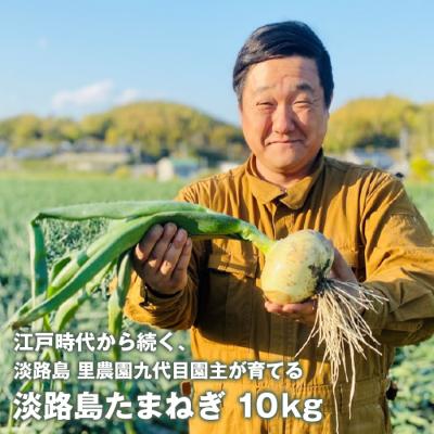 ふるさと納税 淡路市 淡路島たまねぎ(10キロ)