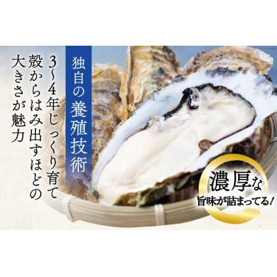 ふるさと納税 気仙沼市 【期間限定発送】  牡蠣 3〜4年モノ 殻付き 約3kg(約16-18個入) [20564186] |  | 02