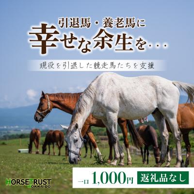 ふるさと納税 岩内町 [引退競走馬 余生支援]北海道 岩内町 ホーストラスト北海道支援 1000円コース F21H-569