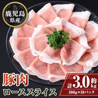 ふるさと納税 肝付町 鹿児島県産豚ローススライス10パックセット[約3kg]