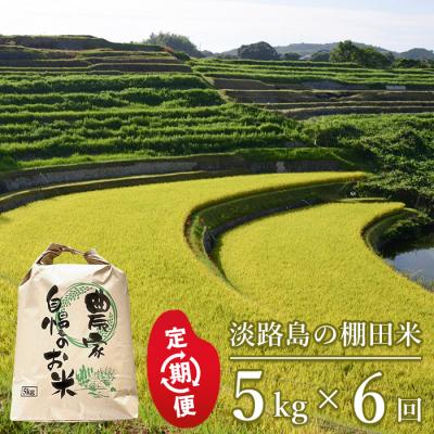 ふるさと納税 淡路市 [定期便]淡路島の棚田米 5kg×6回