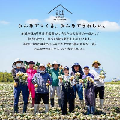 ふるさと納税 淡路市 五斗長たまねぎ 5kg 淡路島産玉ねぎ　ag01606 |  | 01