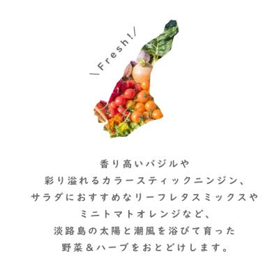 ふるさと納税 淡路市 フレッシュグループ淡路島彩り野菜と香るハーブセット【お届け日指定返礼品】　ah11006 |  | 01