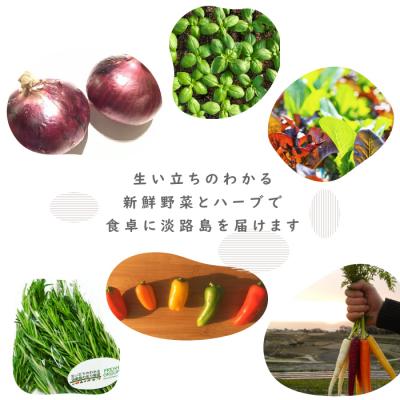 ふるさと納税 淡路市 フレッシュグループ淡路島彩り野菜と香るハーブセット【お届け日指定返礼品】　ah11006 |  | 02