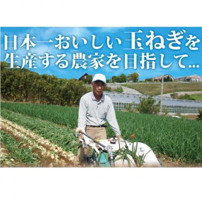 ふるさと納税 淡路市 【新たまねぎ】今井ファームのかくし玉5kgと玉ねぎスープ10食 4月下旬〜5月頃発送 ai01815の画像