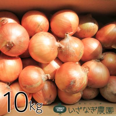 ふるさと納税 淡路市 いざなぎ農園の淡路島たまねぎ 10kg