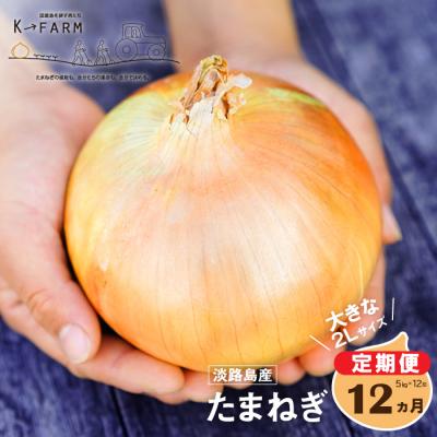 ふるさと納税 淡路市 [定期便12ヶ月]淡路島たまねぎ 大きな2Lサイズ 5kg