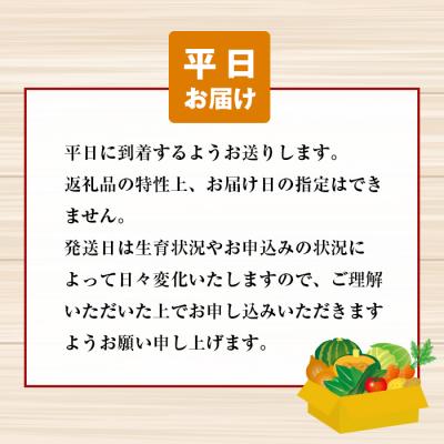 ふるさと納税 淡路市 淡路島の新鮮野菜セット【平日お届け】 ap01639の画像