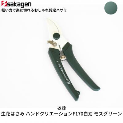 ふるさと納税 三条市 剪定はさみ ハンドクリエーションP180 モスグリーン 花ハサミ [坂源] 